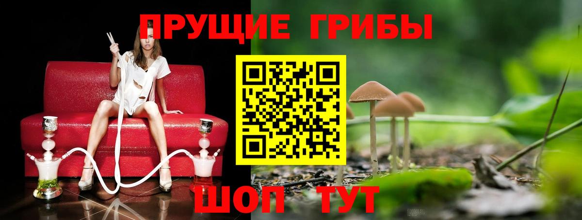 Псилоцибиновые грибы MAGIC MUSHROOMS  Вход с VPN  Семилуки  Псилоцибиновые грибы Psilocybe 