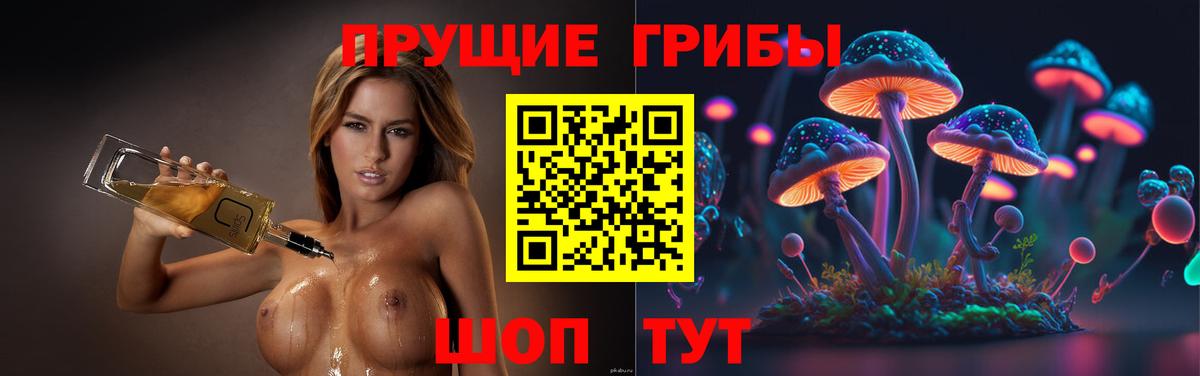Псилоцибиновые грибы Psilocybine cubensis Семилуки