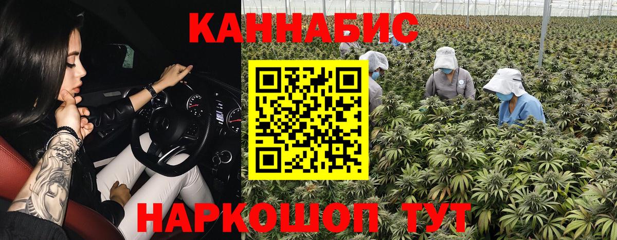 Семилуки  Бошки Шишки конопля  Вход с VPN  Канабис Bruce Banner 